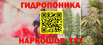 PSILOCYBIN Кунгур