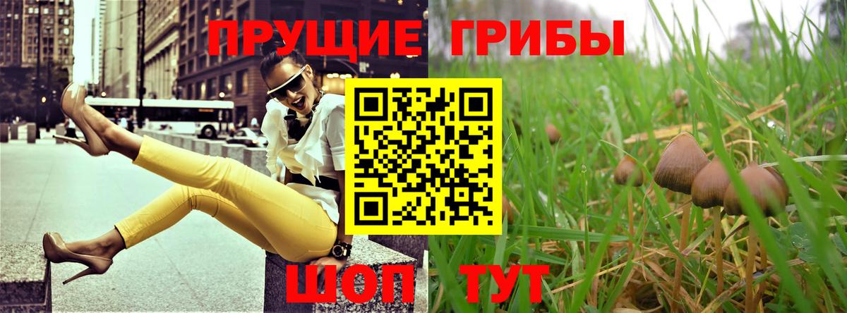Псилоцибиновые грибы мицелий Казань