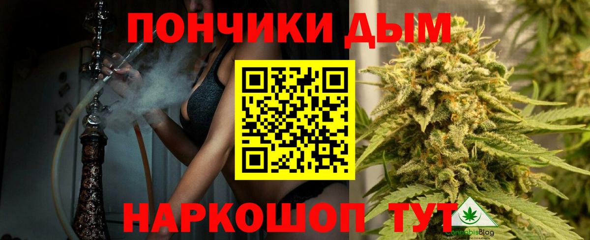 Бошки Шишки сатива  Каннабис марихуана  Бошки марихуана конопля  Вход с VPN  Казань 
